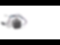 NEMA 11の雑種のステッピング モーター